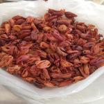 Mace flower (jathi pathri)