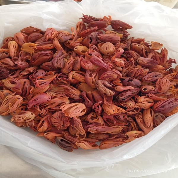 Mace flower (jathi pathri)